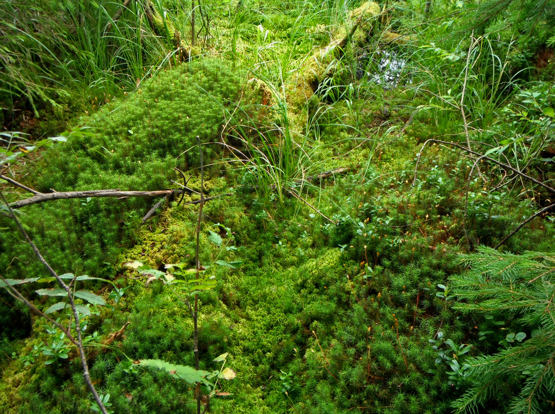 Photo credits: Manja Ristić